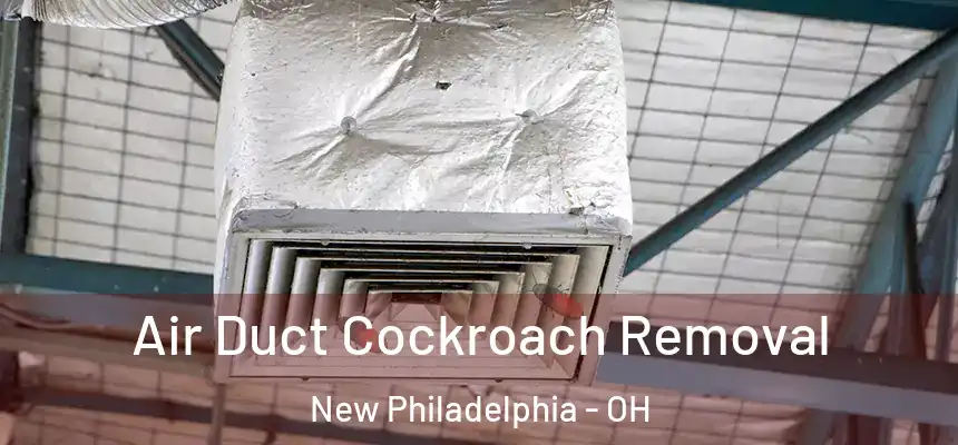  Air Duct Cockroach Removal New Philadelphia - OH