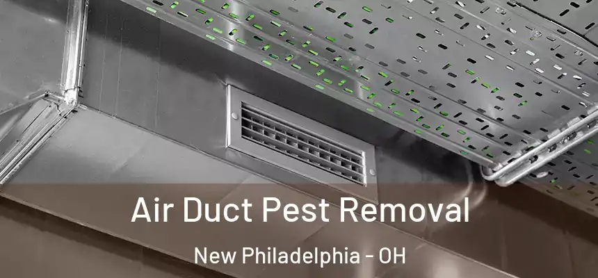  Air Duct Pest Removal New Philadelphia - OH