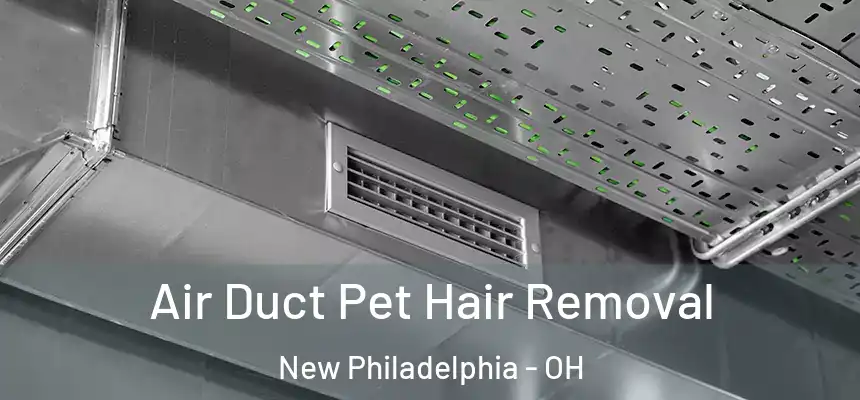  Air Duct Pet Hair Removal New Philadelphia - OH