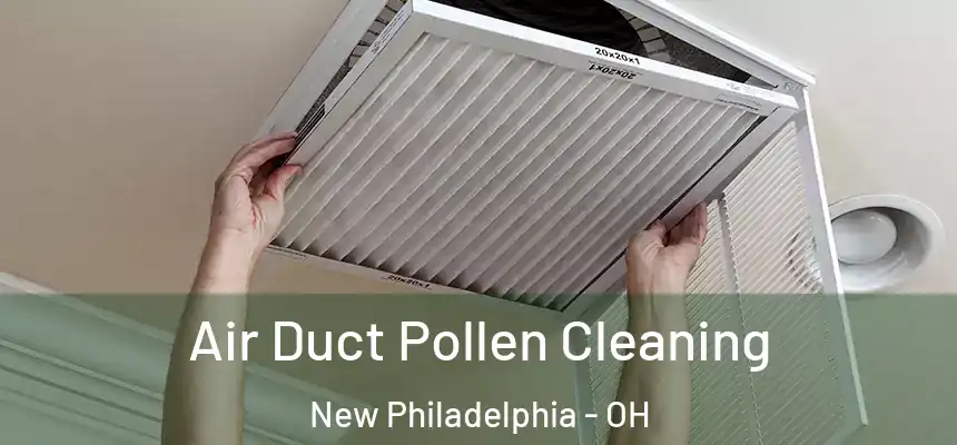  Air Duct Pollen Cleaning New Philadelphia - OH