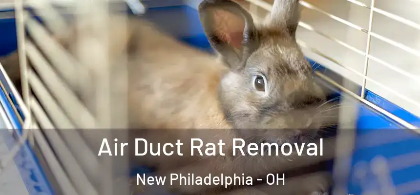  Air Duct Rat Removal New Philadelphia - OH