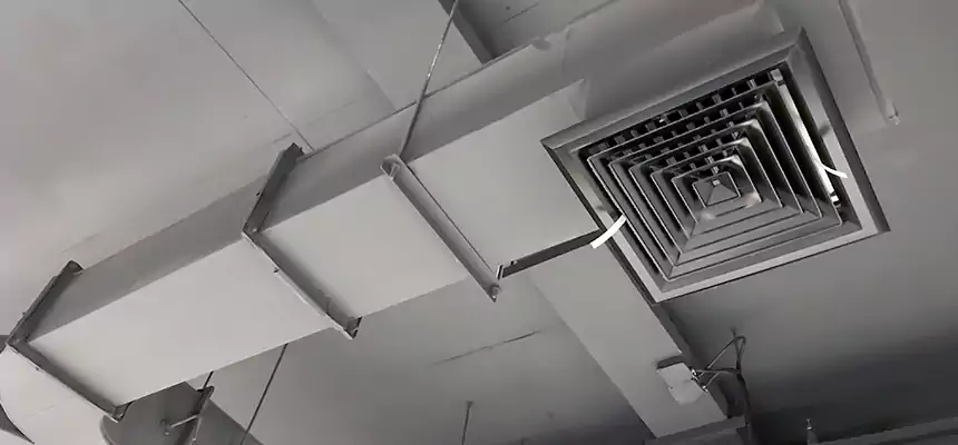 Restorative Allergy Relief Vent Cleaning – Coil, Blower & Housing Detail in New Philadelphia