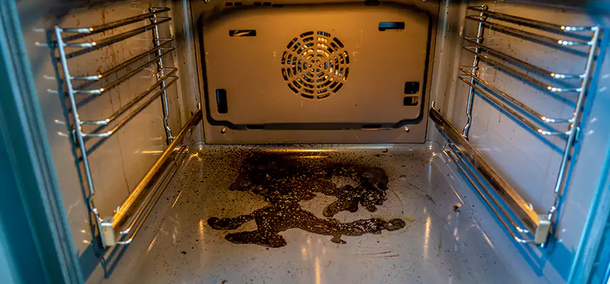 Our Dryer Vent Mold Cleaning Services in New Philadelphia, OH