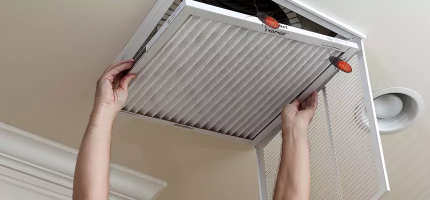 Our Insect Removal from Air Ducts Services in New Philadelphia, OH