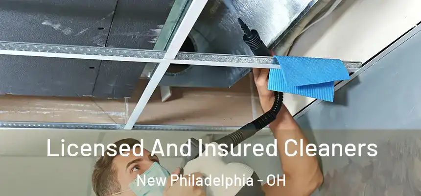  Licensed And Insured Cleaners New Philadelphia - OH